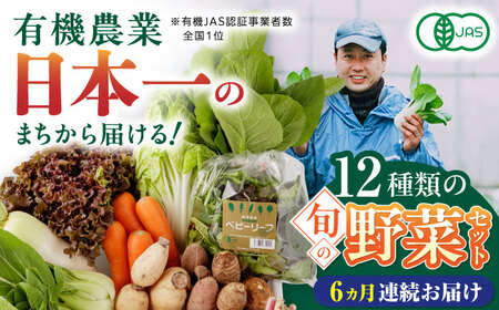 【全6回定期便】四季を味わう野菜セット 有機野菜 有機野菜 有機野菜 有機野菜 有機野菜 [YAF021]
