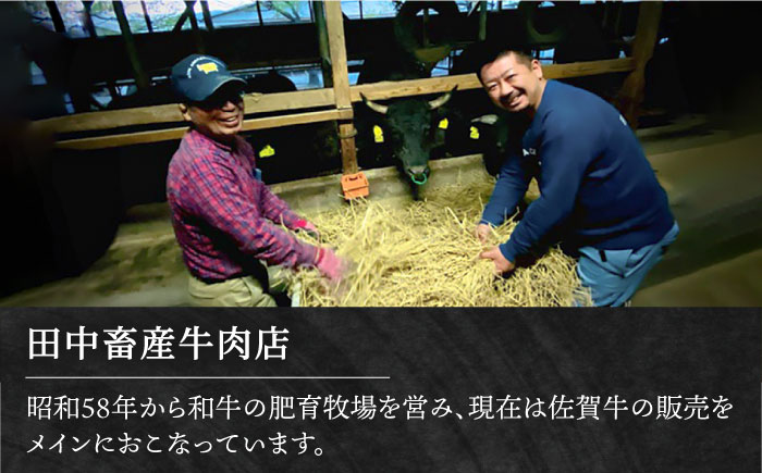 【全12回定期便】佐賀牛 スライス・ハンバーグ セット（肩ローススライス500g・ハンバーグ4個）【田中畜産牛肉店】 [HBH095]