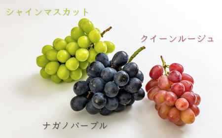 TK29-25A ジュエリーボックス 新世代ぶどうのスプレッドとアカシア蜂蜜の詰め合わせ 12個入 // 長野県 松川町産 南信州 ぶどう シャインマスカット ナガノパープル クイーンルージュ® 寒天