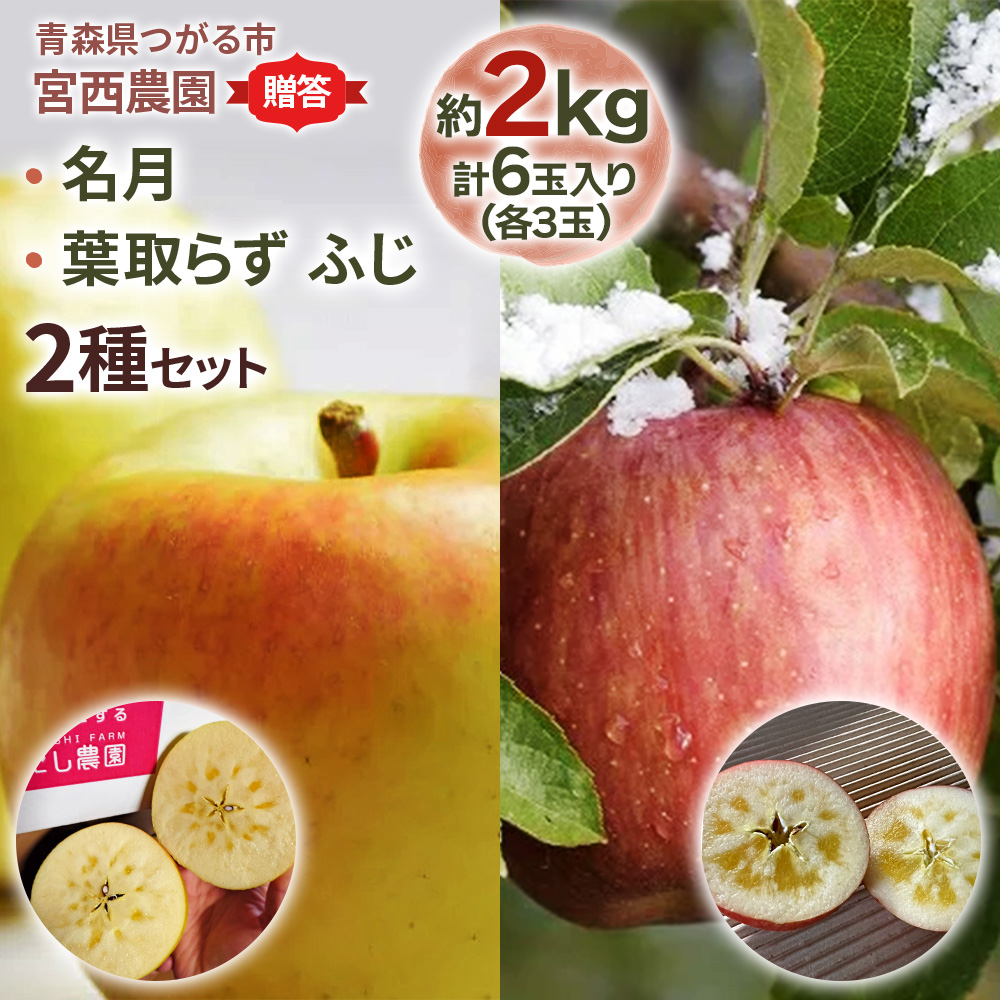 [贈答用] 名月×葉取らずふじ【約2kg 各3玉入り 計6玉】贅沢りんご 2種セット｜令和8年 2026年 ギフト 青森産 津軽 つがる りんご リンゴ 果物 フルーツ 名月 めいげつ ふじ フジ 青森りんご マタニティフード認定 [0681]