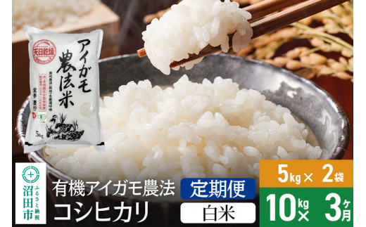 【白米】《定期便3回》令和6年産 有機アイガモ農法コシヒカリ 10kg（5kg×2袋） 金井農園