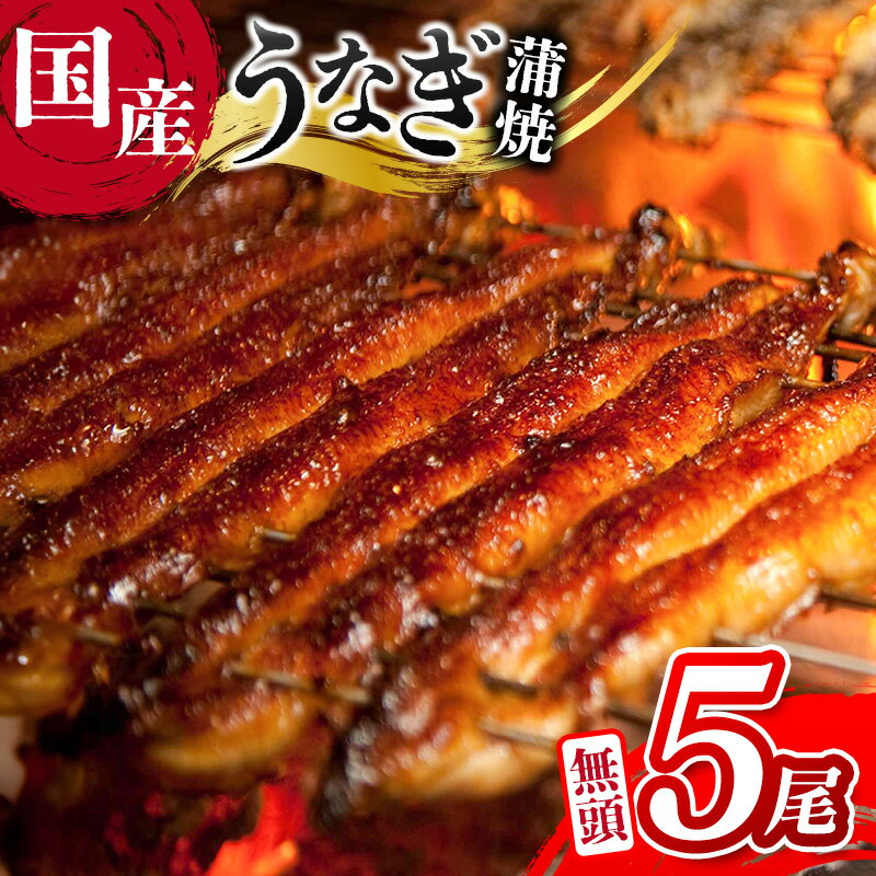 【ふるさと納税】＜ご家庭用＞うなぎ 鰻楽 国産 蒲焼 5尾 計650g以上（130g×5尾）おすすめ 冷凍 簡単調理 個包装 鰻 魚介