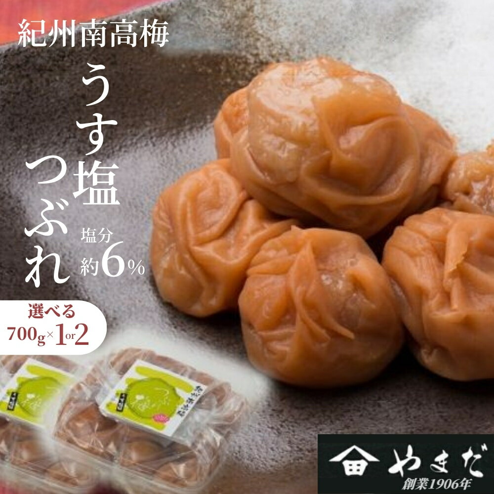 【ふるさと納税】紀州南高梅 うす塩つぶれ（塩分約6%） 700g～1400g (700g×2) | 梅干し 南高梅 梅 うめ 塩分控えめ 減塩 家庭用