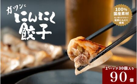 餃子 発芽にんにく餃子 国産にんにく 餃子【30個入り×3パック】【冷凍】