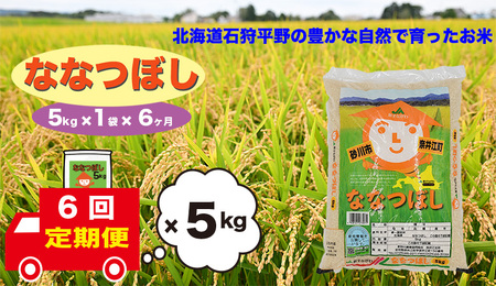 【定期便6回】北海道奈井江町　ななつぼし　5kg
