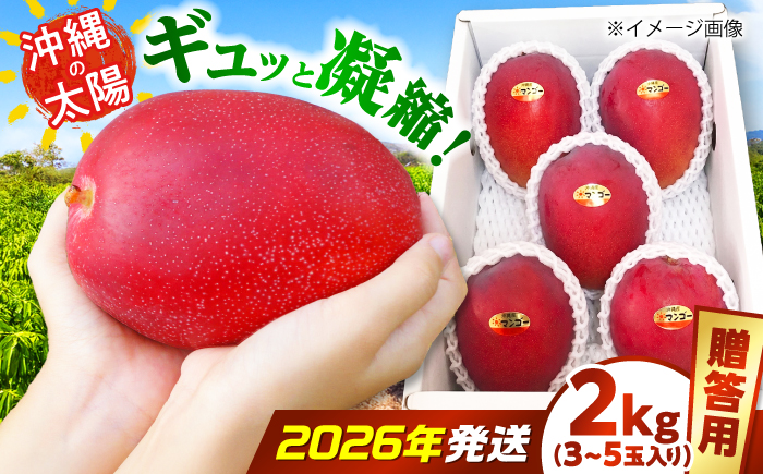 【2026年7月上旬より順次発送】【贈答用】沖縄市産マンゴー「太陽のめぐみ」 2kg(3～5玉) (化粧箱入り) 南国フルーツ 産地直送 新鮮 沖縄県産 ギフト 沖縄市 / 比嘉マンゴー園 [BCEW