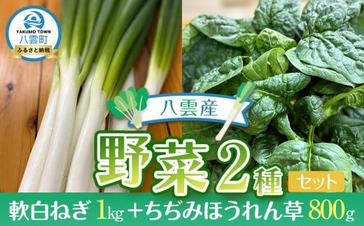 
            八雲産軟白ねぎ1kg+寒ちぢみほうれん草800gセット 【 野菜 ネギ ホウレン草 やさい ホウレンソウ 葉物野菜 北海道 八雲町 】
          