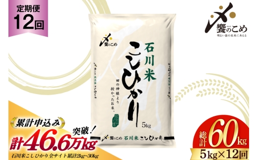 米 定期便 石川米こしひかり【穂立】5kg×12回 総計60kg [中橋商事 石川県 宝達志水町 38600814]コシヒカリ お米 コメ 12ヶ月 白米 精米 おこめ こめ 能登 5kg 5キロ
