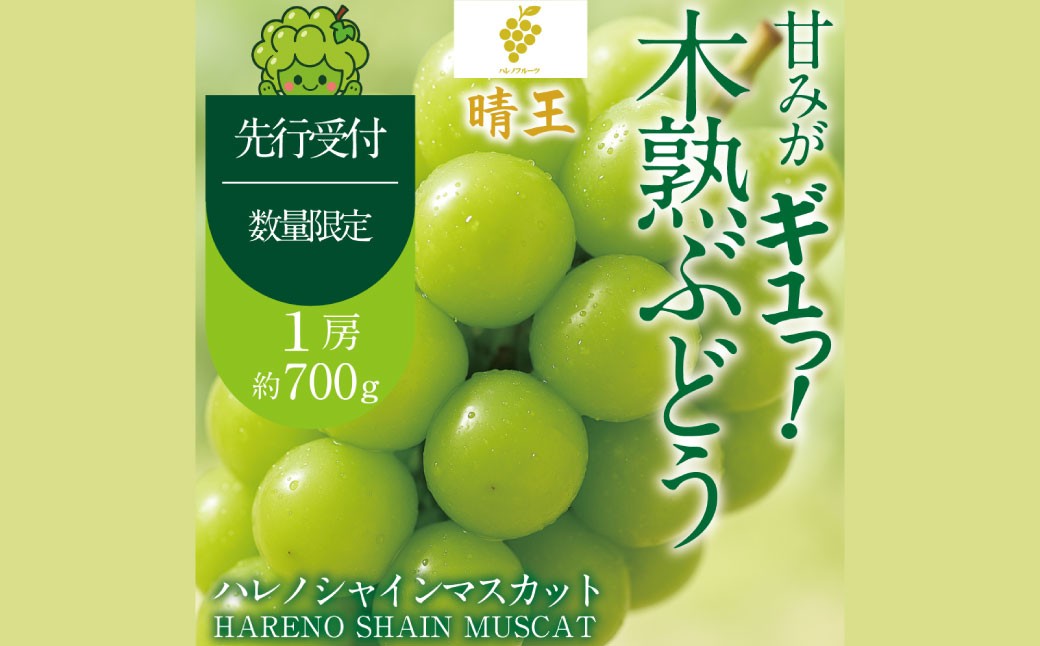 
                  木熟ぶどう ハレノシャイン シャインマスカット晴王 1房 約700g 果物 くだもの 果実 フルーツ 果汁 ぶどう 葡萄 ブドウ マスカット シャインマスカット 晴王 ブランド 皮ごと 国産 岡山県産 冷蔵 【 2026年9月上旬～10月下旬発送予定 】
                