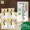 【ふるさと納税】＜令和6年産米＞ 鮭川村 コシヒカリ【白米】 60kg定期便 （20kg×3回発送）