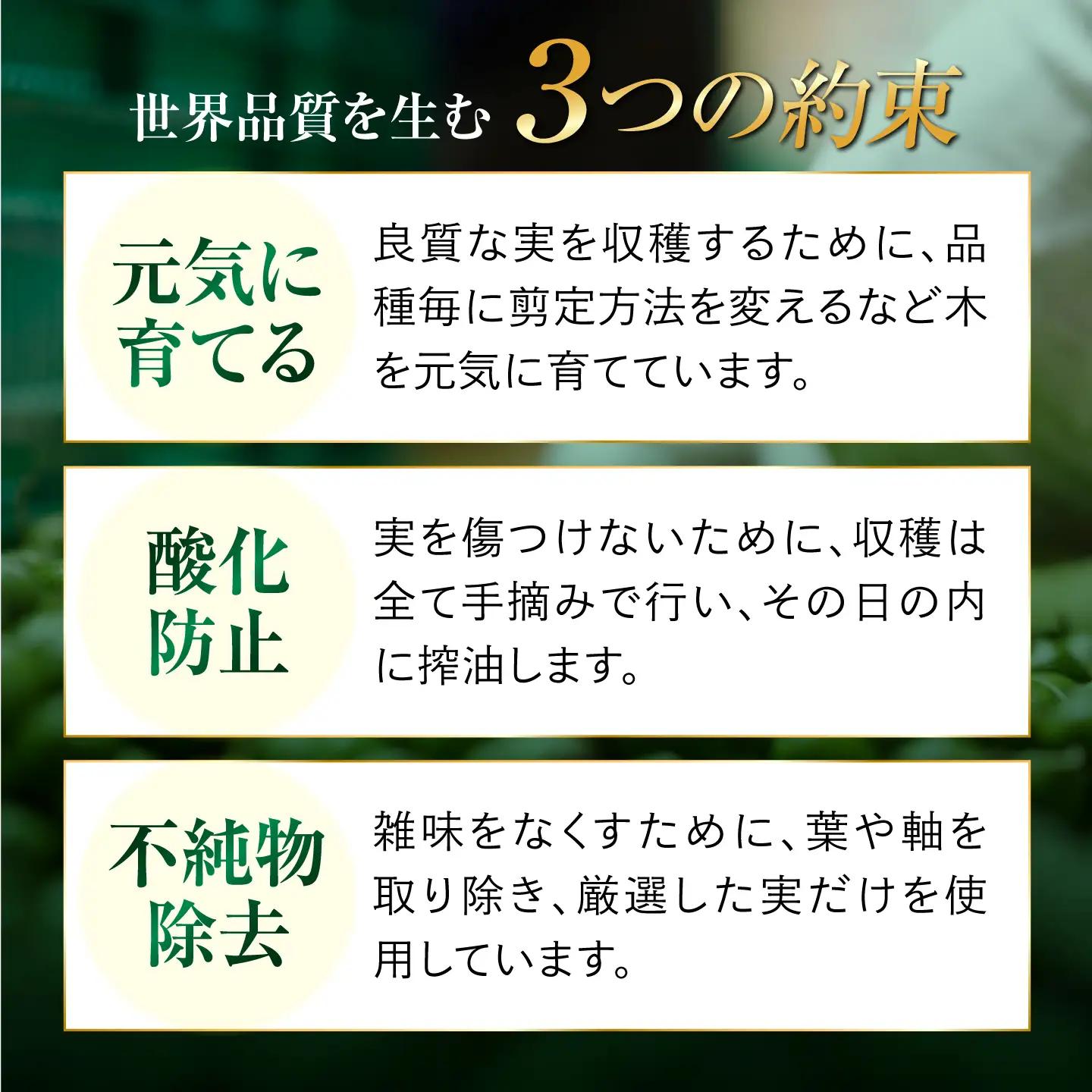 【全12回】オリーブオイル 激辛ペペロンオイル 100mL オリーブオイル [XAJ034]