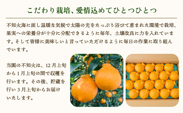先行予約 宇城市産 不知火 約5kg 15玉〜22玉前後 【2026年3月上旬から5月上旬発送予定】 しらぬい みかん ミカン 蜜柑 柑橘 くだもの フルーツ 果物 熊本県産 九州産 国産 木村果樹園