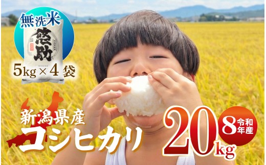 先行予約 令和8年産 無洗米 コシヒカリ 20kg 特別栽培米 単品 コンテスト 入賞 【 コンテスト 入賞米 米 おこめ お米 ブランド米 ご飯 ごはん オニギリ お弁当 kome 送料無料 数量限定 農家直送 産地直送 国産 川瀬農園 四代目 悠助 新潟 新発田 kwsMKH008_202609  】