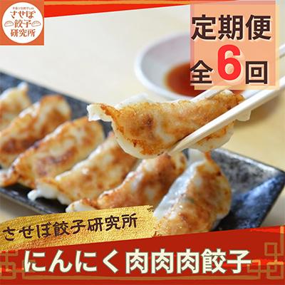 ふるさと納税 佐世保市 【発送月固定定期便】 させぼ餃子研究所 にんにく肉肉肉餃子 計96個×全6回