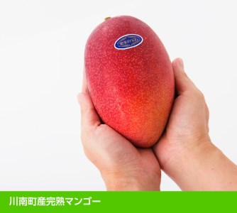 【令和9年発送】【宮崎県産完熟マンゴー】果実の宝石　4L×1玉 【 果物 フルーツ マンゴー 宮崎県産 みやざきマンゴー 先行予約 数量限定 期間限定 】
