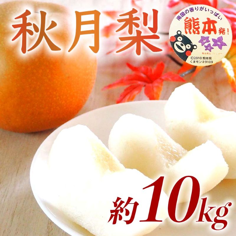 【amazon価格】秋月梨 約10kg（12～36玉）【梨 なし 果物 フルーツ デザート 食後 熊本県産】※配送不可：離島