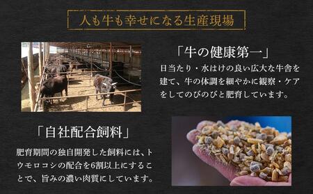 広島県「なかやま牧場」高原黒牛ローストビーフ 540g(約270g×2個)