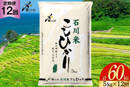 米 定期便 石川米 こしひかり 5kg × 12回 [38600814] 米