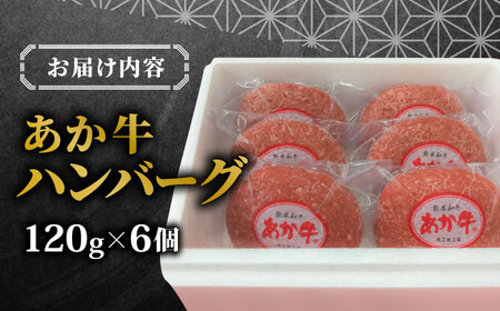 あか牛 100％ハンバーグ セット 120g×6個【有限会社 三協畜産】[YCG116]