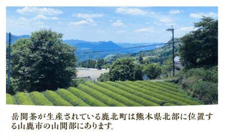 【限定数量】高級茶『市名岳間茶』3種ギフトセット 【岳間の郷ひがし】[ZCH007]