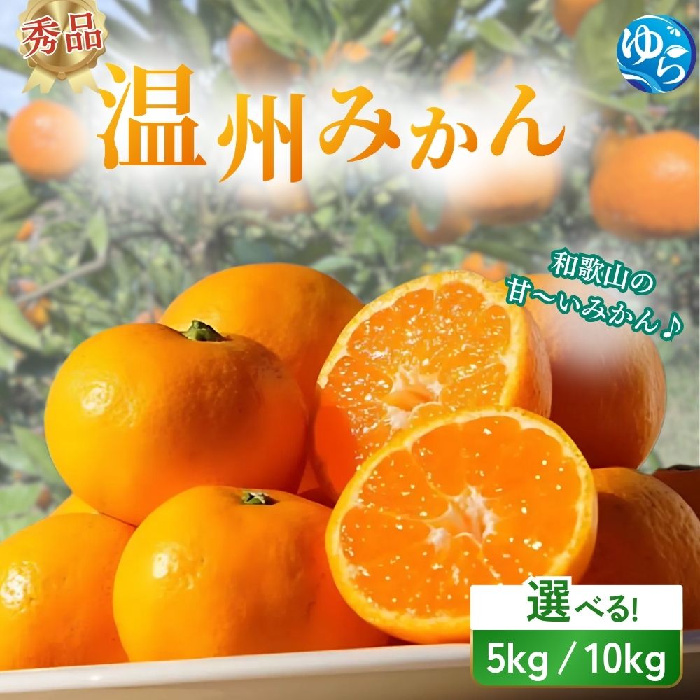 【ふるさと納税】 秀品 温州みかん 5kg 10kg【2025年11月下旬～順次発送予定】/ 数量限定 みかん ミカン 和歌山県 柑橘 早生 甘い 蜜柑 フルーツ 果物 くだもの 食品 産地直送 由良町 ご家庭用 温州 訳ありみかん 大玉