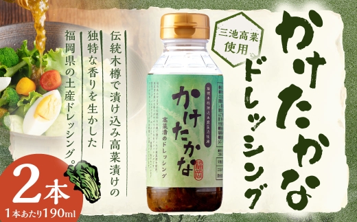 A332 かけたかなドレッシング 190ml×2本セット ドレッシング 調味料 料理 サラダドレッシング サラダ 野菜 高菜 三池高菜