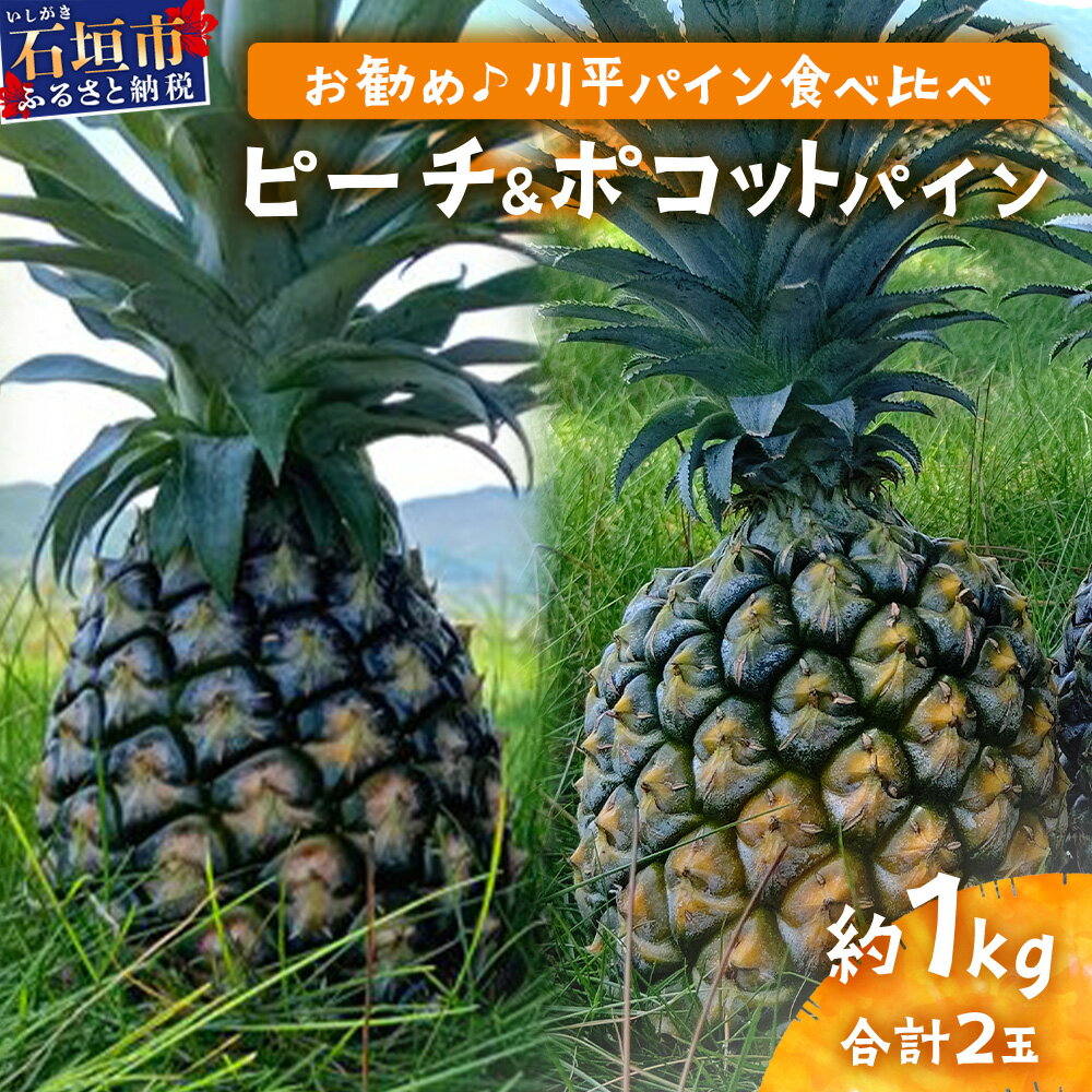 【ふるさと納税】ピーチ＆ポコットパイン食べ比べ 1kg (計2玉) お勧め♪川平パイン《2025年5月～10月頃発送》KN-5