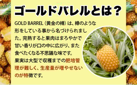 【2026年発送】ゴールドバレルたっぷり小玉セット