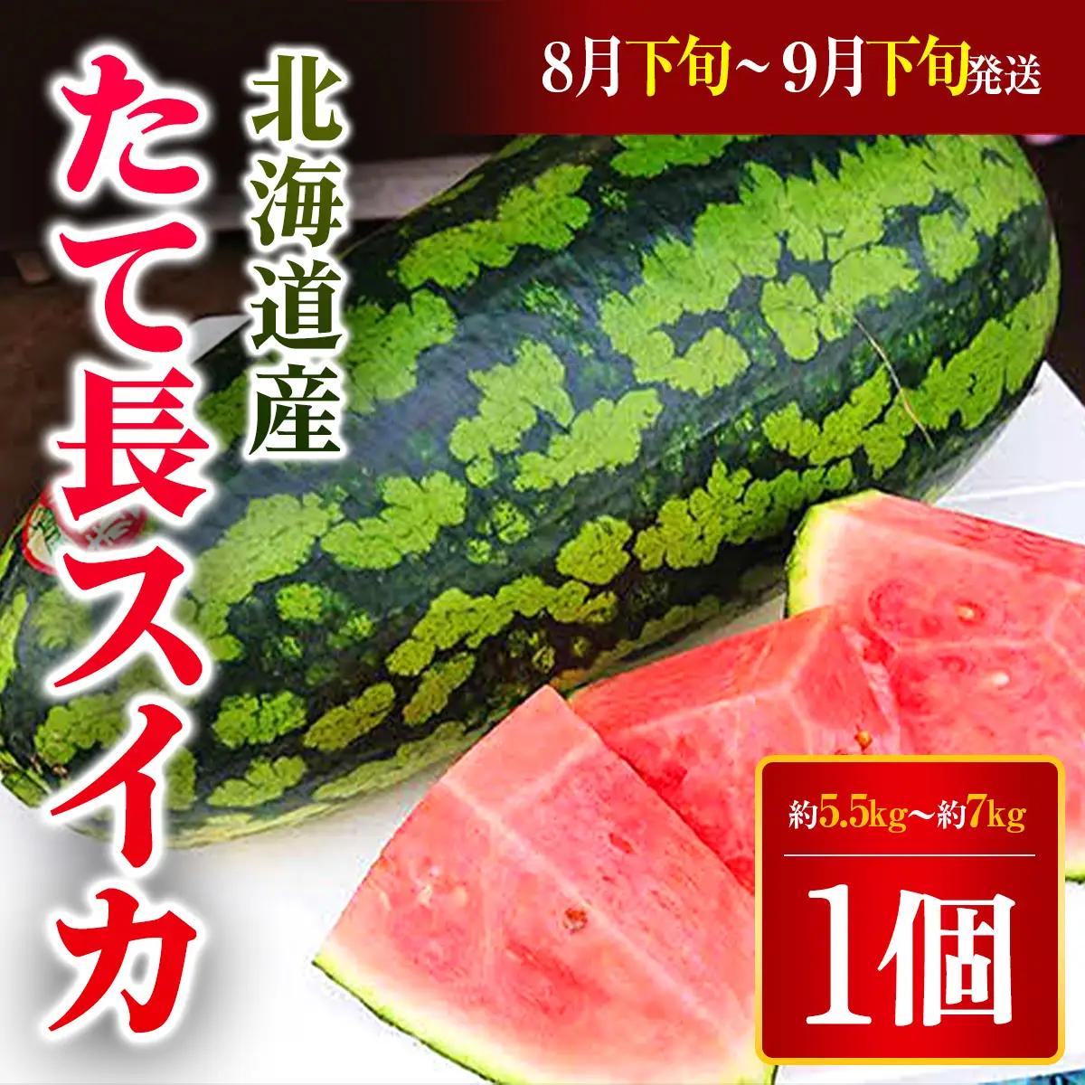 【2026年8月下旬より発送】北海道厚沢部町産 たて長スイカ 1個 約5.5kg～約7kg（8月下旬から9月下旬の間に発送） ASO026