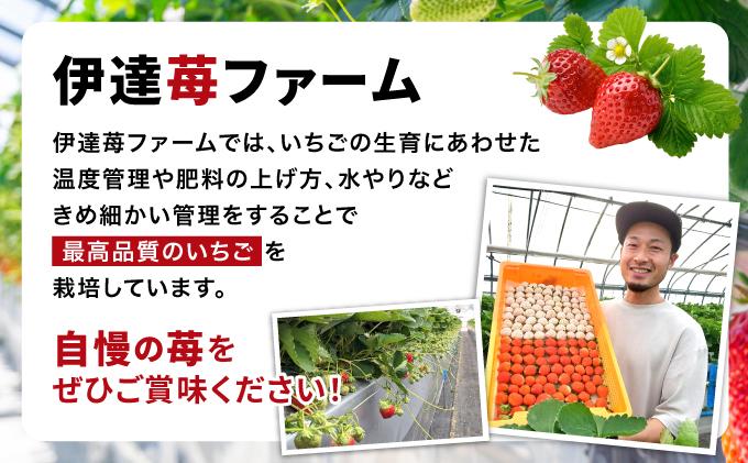 ＜先行予約＞ 北海道 伊達市 いちご すずあかね Mサイズ 30個入り 2トレー 60個【55250946】苺 イチゴ スイーツ デザート 果物 甘い 赤 鮮やか 新鮮 ケーキ お菓子作り