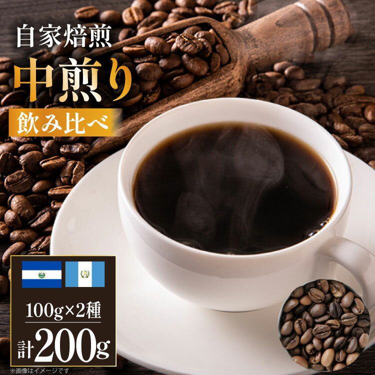 【ふるさと納税】 コーヒー豆 自家焙煎 中煎り 100g 2種 計200g 飲み比べ セット シングルオリジン [フライヤーズ・カンパニー 北海道 砂川市 12260780] スペシャルティコーヒー 珈琲豆 焙煎 コーヒー 珈琲 こーひー 飲み比べセット レビューキャンペーン