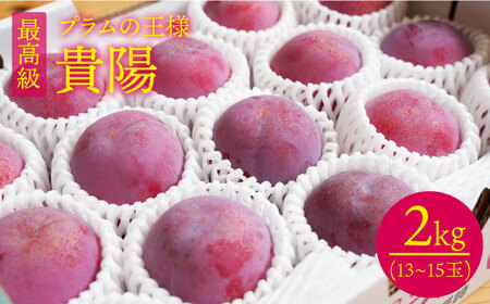 【先行予約】【プラムの王様】 貴陽 （きよう）約2kg（13～15玉）＜竹嶋農園＞ [CEB002] すもも