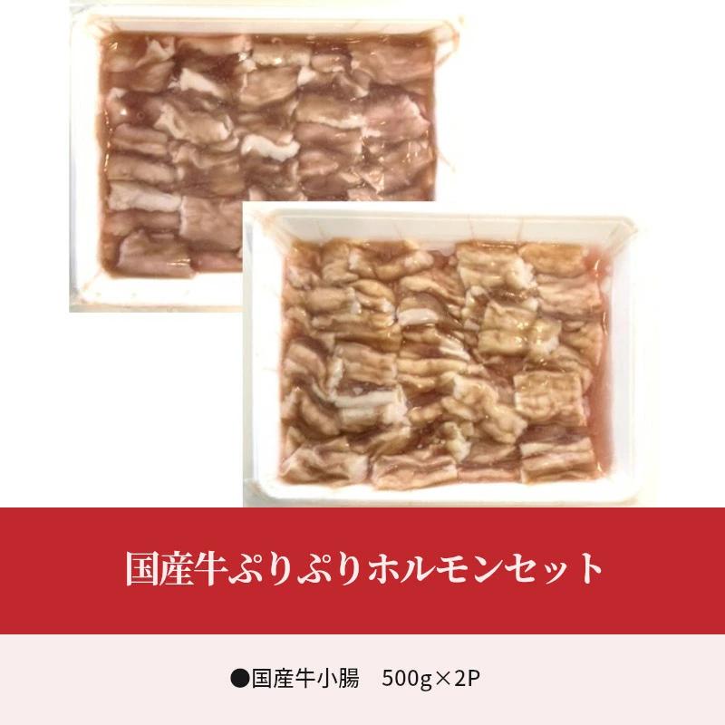 【ふるさと納税】国産牛ぷりぷりホルモンセット 食べ比べ 小腸 アカセンマイ 焼肉 もつ鍋