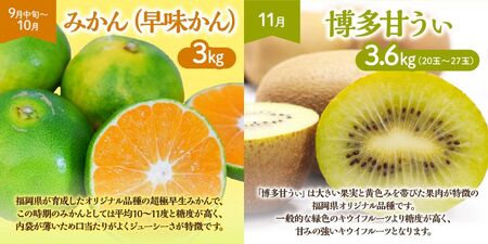 【定期便/年４回】旬の福岡フルーツ定期便【ほたるの里】_PB0087