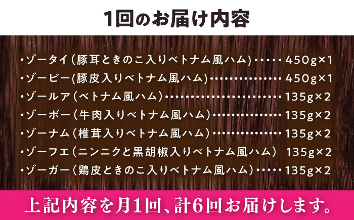 【全6回定期便】ベトナムハム オールスターセット / ハム はむ ベトナム ベトナム料理 / 瀬戸市 / 株式会社フードフォース [BBBE017]