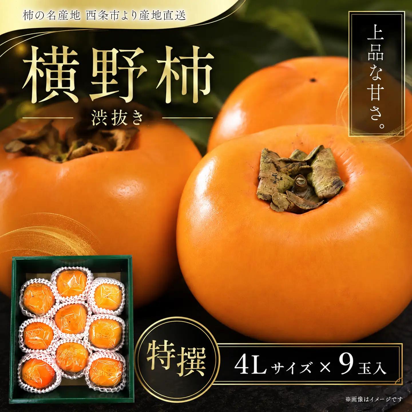 【12月発送】愛媛県西条産「横野柿」渋抜き柿 特撰4Lサイズ×9玉