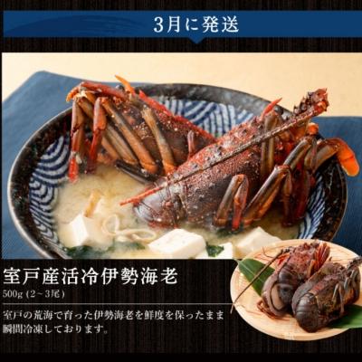 ふるさと納税 室戸市 【魚介定期便10回】 マグロ・ネギトロ・かつおのたたき・魚介類加工品などの海鮮セット定期便 訳あり |  | 02