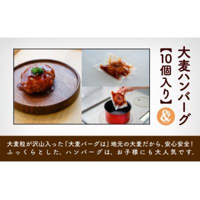 ふるさと納税 小松市 国産大麦のハンバーグ 10個入り 冷凍ハンバーグ 小分け包装 小松市産大麦 |  | 01