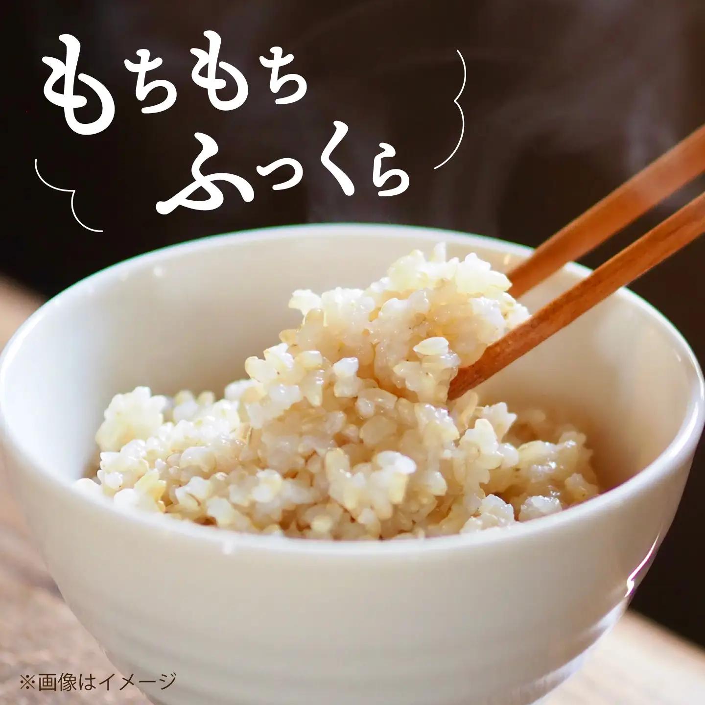 【発酵生活の入口】 3日間寝かせた 発芽発酵玄米ごはん 7食入 [VBJ029]発酵ごはん