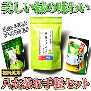 福岡銘茶八女茶 急須要らずのお手軽セット(便利なチャック付) 吉富町/株式会社マル五[BGAC045]