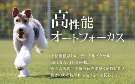 Canon カメラ EOS R50 ボディのみ ブラック [MA23] ミラーレスカメラ キャノン EOS R50