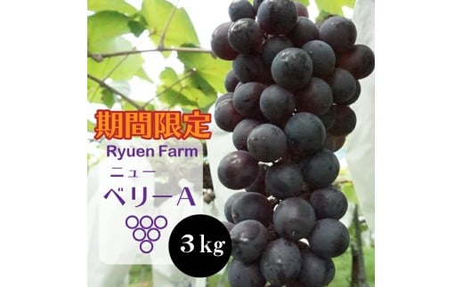 【2025年8月下旬から発送】ニューベリー 3kg 冷蔵 ぶどう 巨峰 フルーツ 福岡県川崎町 竜円農園 先行予約 ぶどう 数量限定 ぶどう