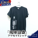 【ふるさと納税】アワモリTシャツ【カラー:ブラック】【サイズ:Lサイズ】KB-136