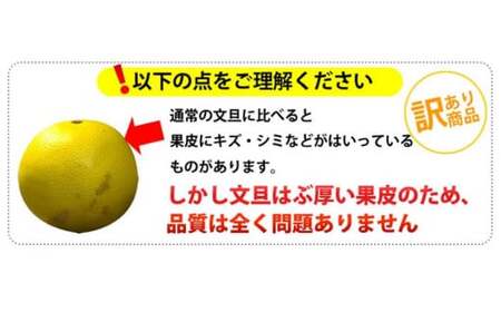 ワケあり土佐文旦(※シミ・キズあり) 10kg・ サイズおまかせ 産地直送 フルーツ 果物 在庫限り