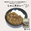 【ふるさと納税】 じゃこ天 カレー 6パック (1パック200g) 自家製 カレー マルヤス味噌