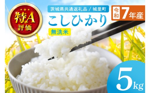 令和7年産 茨城県産 コシヒカリ無洗米 5kg（茨城県共通返礼品/城里町）特A評価 数量限定 お米 こめ コメ ごはん 精米 こしひかり コシヒカリ 単一米 安心 安全 白米 生産者直送 高評価 桂農