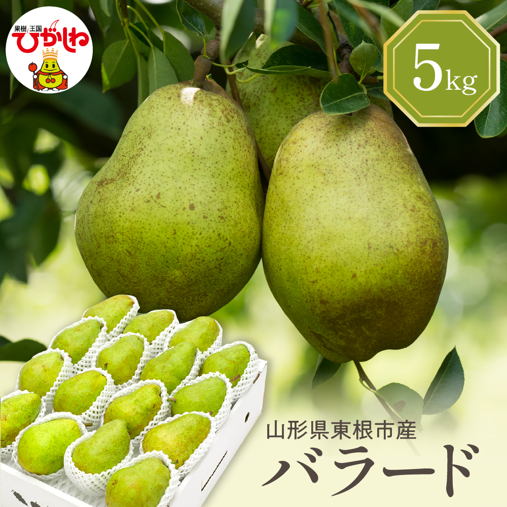 【令和7年産 先行予約】西洋梨バラード5kg 山形県 東根市 東根農産センター提供 hi027-190-1