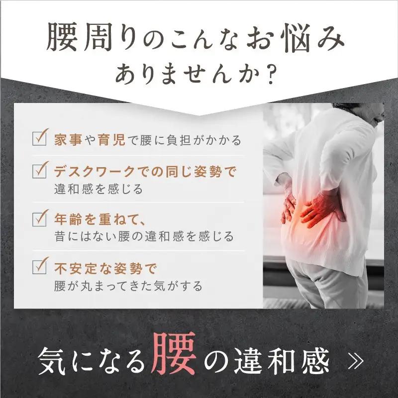 NIPLUX 腰ケア WAISTUPREMS 腰枕 腰クッション 腰痛 腰 EMS 温熱 低周波 ストレッチ 腰周り 姿勢 リフレッシュ 健康家電 ニップラックス 福岡県 福岡市 福岡