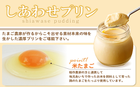 【定期便3ヶ月】たまご農家のしあわせプリン 6個セット デイリーファーム たまご 幸せ プリン 瓶入り デザート スイーツ おやつ 卵 鶏卵 ココテラス なめらかプリン 洋菓子 米卵 常滑牛乳 お菓子