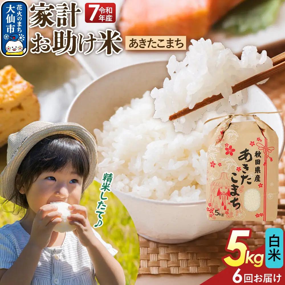 《定期便6ヶ月》【白米】家計お助け米 あきたこまち 5kg 秋田県産 令和7年産  こまちライン 秋田県 大仙市産